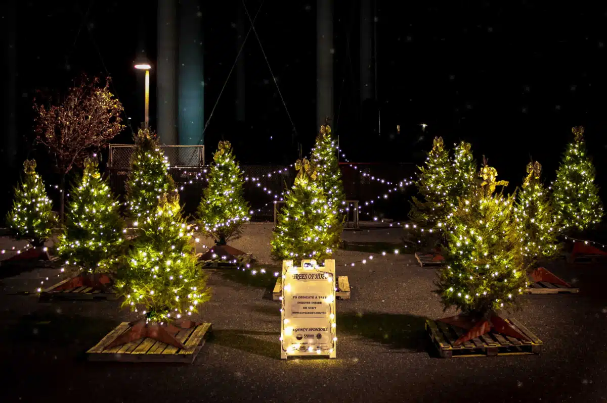 Cape Assist - Preview